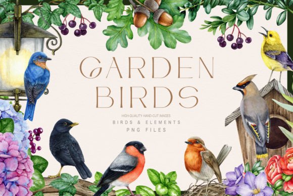 Garden Birds Watercolor Illustration Set